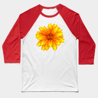 unique yellow red flower, bloom, flowers, petals Baseball T-Shirt